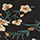 Black Embroider