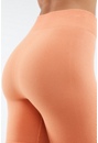 Cloud Seamless High-Waisted Shorts