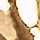 Cream Gold