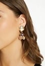 Eve Tonal Brown Glass Stones Drop Earrings