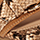 tan snake